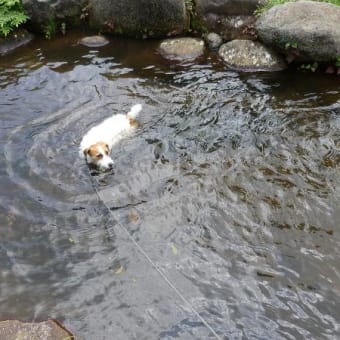 8月19日　水と緑の杜公園