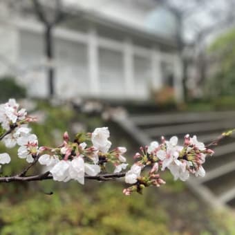 2025春イベントを開催しました