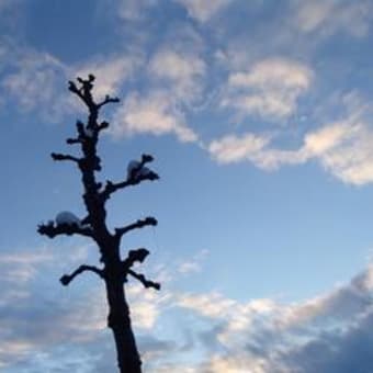 雪、一休み