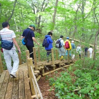 水と緑の森づくり基金運営委員会