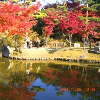 奈良公園の紅葉