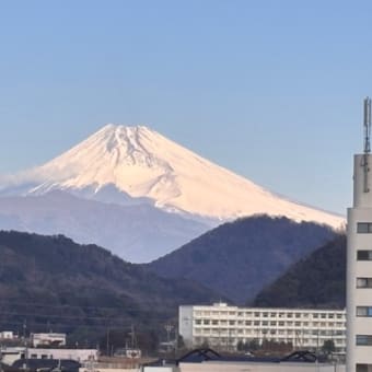 中伊豆、温泉♨️旅行③伊豆長岡
