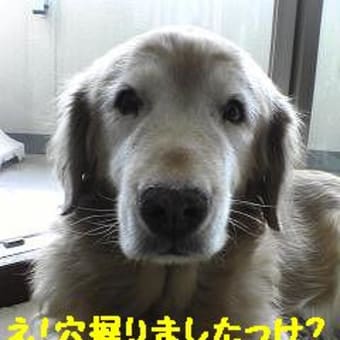 おはな２
