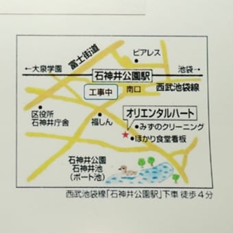 428 モンキゴミムシダマシ