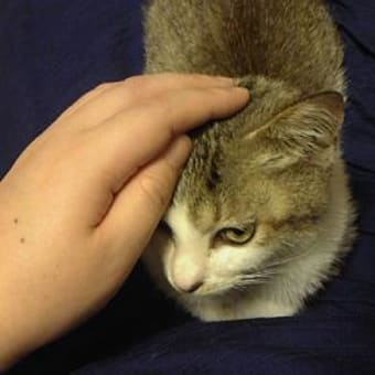 通院一段落なり