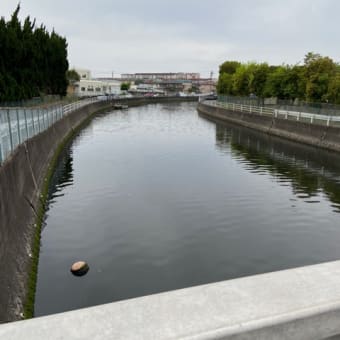 ３つの命盤と歩んだ１５年、來因宮遷移宮