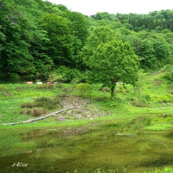 湯沢高原・アルプの里を歩く