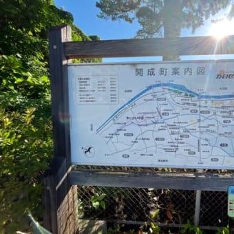 夏の様に暑くなってまいりました。