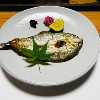 菊乃家☆