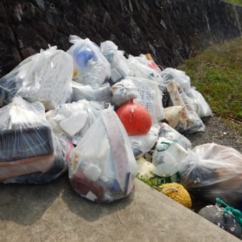 BEACH CLEAN UP の日でした🧹