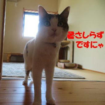 暑すぎ～💦