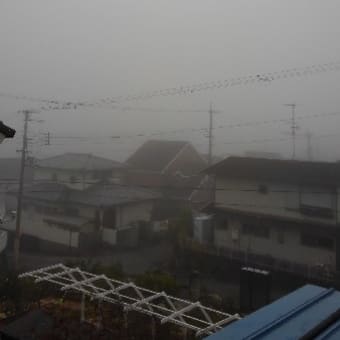 濃霧の朝　