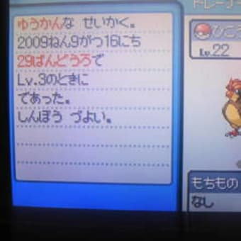 ポケモン金銀プレイしますた ヘボヰのお風呂に茶柱