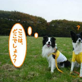 とっても広～い公園へ♪