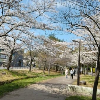 雅な公家言葉と伝法な江戸弁を使った薄倖の歌人、柳原白蓮 雅な公家言葉と伝法な江戸弁を使った薄倖の歌人、柳原白蓮