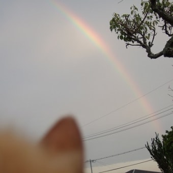 虹とまあくんと　☆(=^。^=)☆