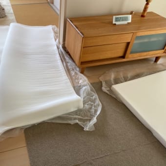 トゥルースリーパーを買いました