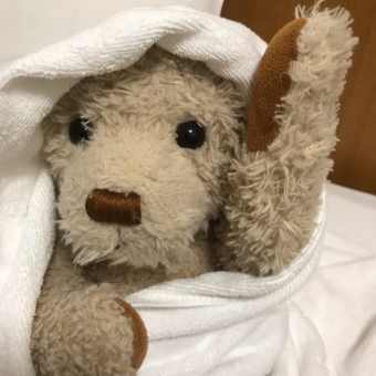 高知番外編・・・ えっ？  クマクマ