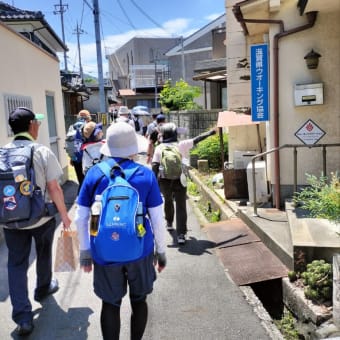 大津なぎさウォーク「初夏の琵琶湖の眺望を楽しもう」〜滋賀県ウォーキング協会例会