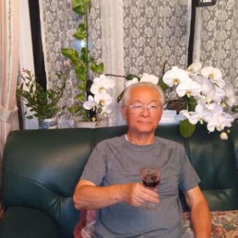 胡蝶蘭引っ越し