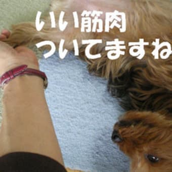 回文特集♪第４弾