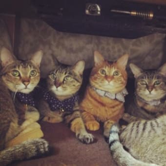 今年のうちにっ！