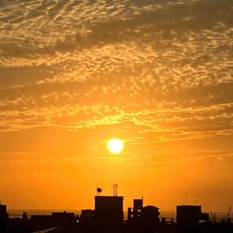 梅雨こそ宅シネマ