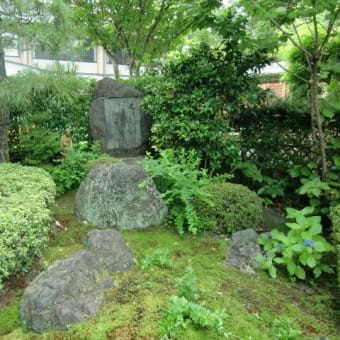 京都　東福寺天得院・桔梗を愛でる特別公開　 28日～７月１７日