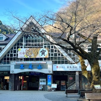 【高尾山】高尾登山鉄道に乗って東京散策、清滝駅から高尾山頂駅まで