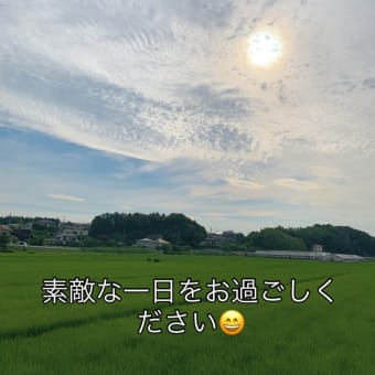 2025/06/28