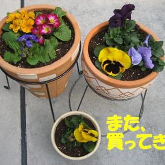 朝ごはん