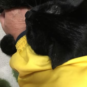くろちゃん