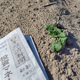 4月3日
