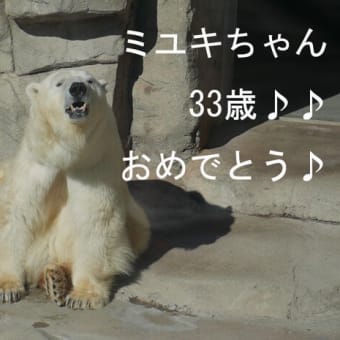 ミユキちゃんの33歳のお誕生日会♪（2023年11月30日）