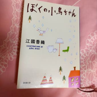 読書感想文　江國香織　ぼくの小鳥ちゃん