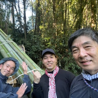 竹林整備