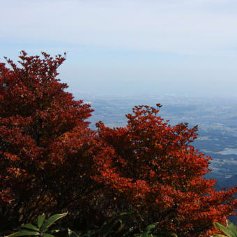 なばなの里と中秋の御在所岳