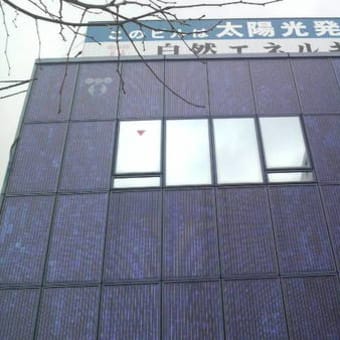 東京電力