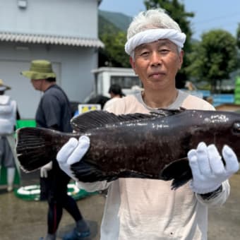 ７月５日 土曜日