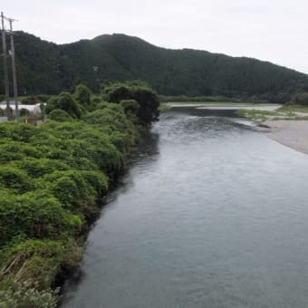 本日の海部川