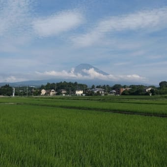 今朝の富士山（20250628）