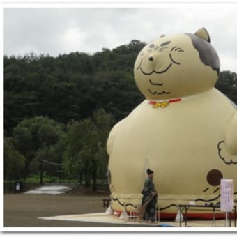 「藤原の郷」にて、萩まつり開催中！