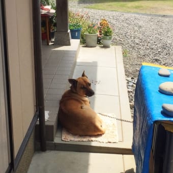 通院日。