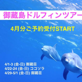 【御蔵島ドルフィンスイムツアー】 4月分ご予約受付START！