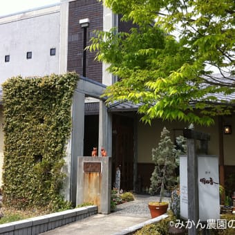 茶々 明日香