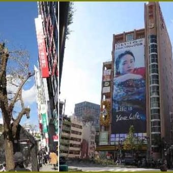 大阪のミナミを往く