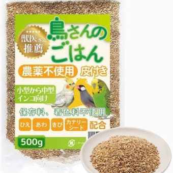 家なきオヤジ