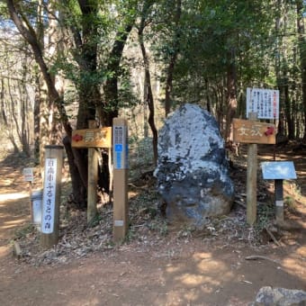 高麗駅から日和田山、物見山、富士山へ