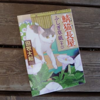 鯖猫長屋ふしぎ草紙(11)