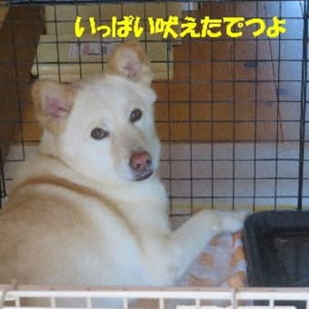 「お寺でJAZZ」満員御礼